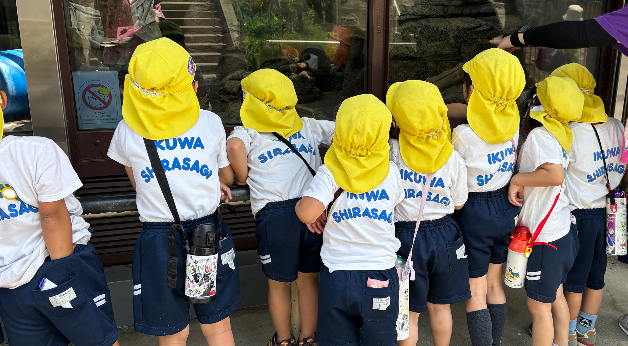 ページタイトル